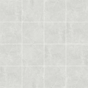 DCNB60216 Porcelain Tile